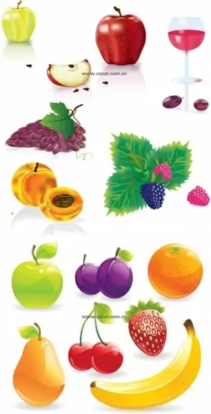 several common fruits vector
