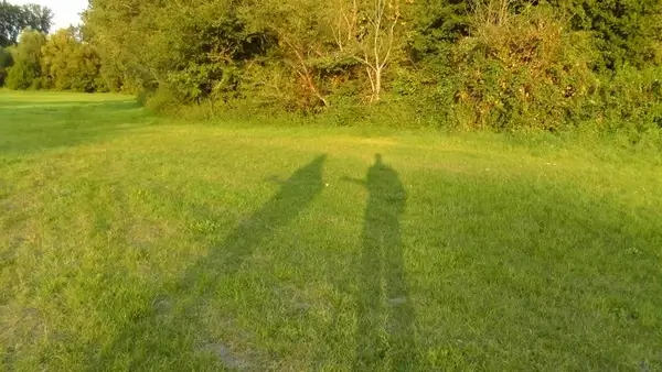 shadow musicians summer musician