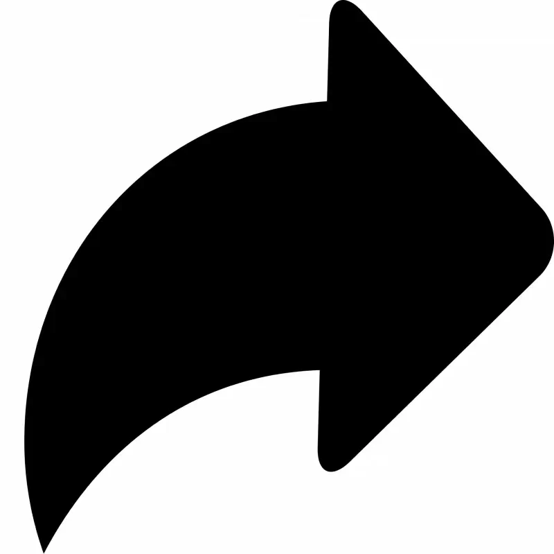 share  icon flat black dynamic arrow shape