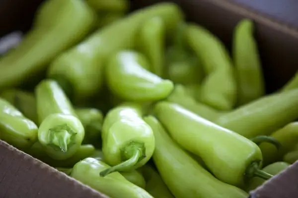 shenandoah valley produce auction