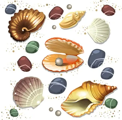 shining seashells design vector set