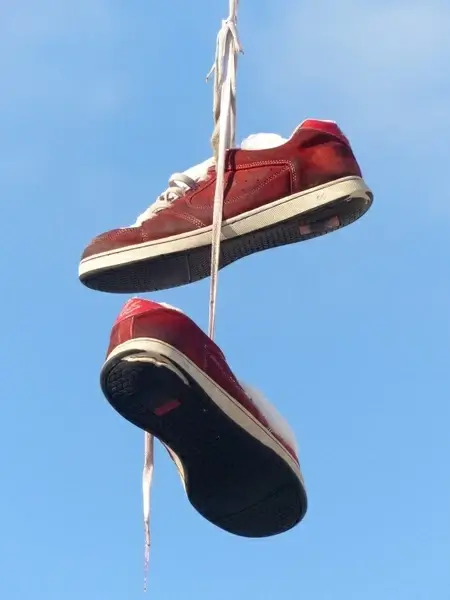 shoes depend leash