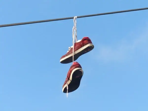 shoes depend leash