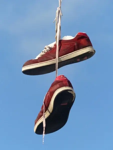 shoes depend leash