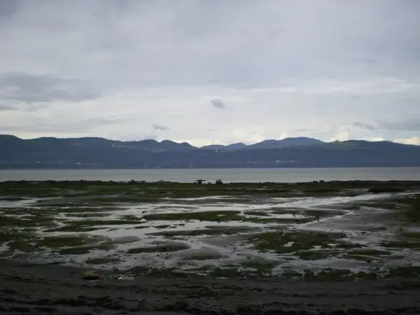 shore of stlaurent stream