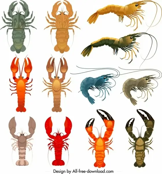 shrimp icons collection colorful shapes sketch