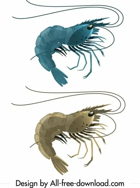 shrimp icons shiny blue grey curved mockup outline