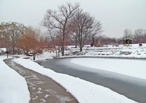 sidewalk and frozen pond