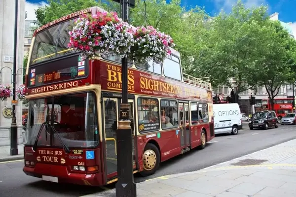 sightseeing tour bus