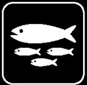 Sign Board Vector 920