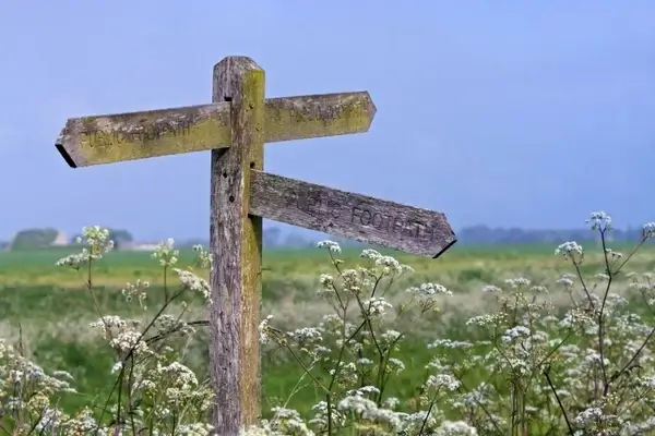 signpost wooden pointer