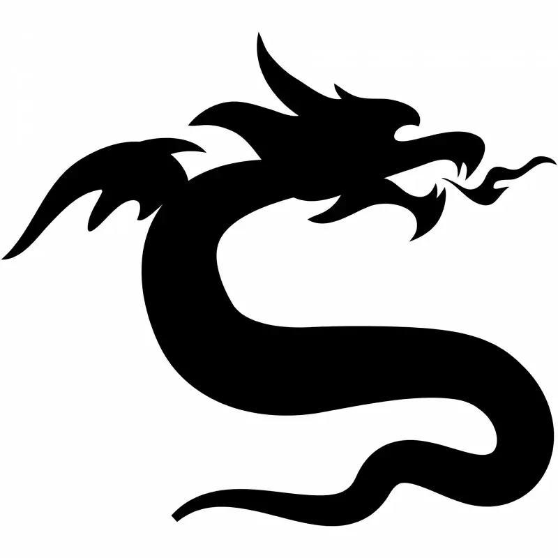 dragon flying silhouette dynamic icon