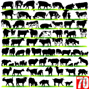 silhouettes of animals design vector