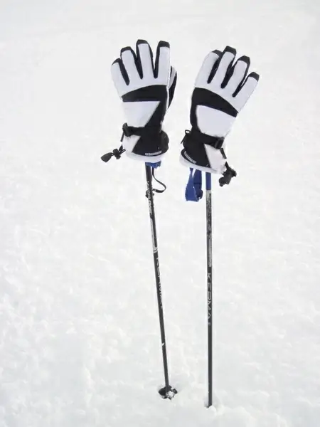 ski poles with gloves