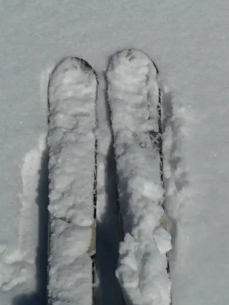 ski ski tour touring skis