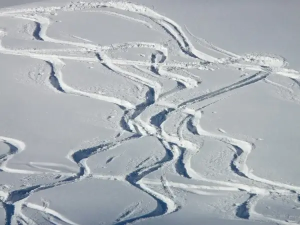 skiing departure wag