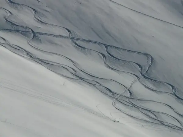 skiing departure wag
