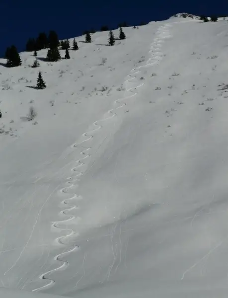 skiing departure wag