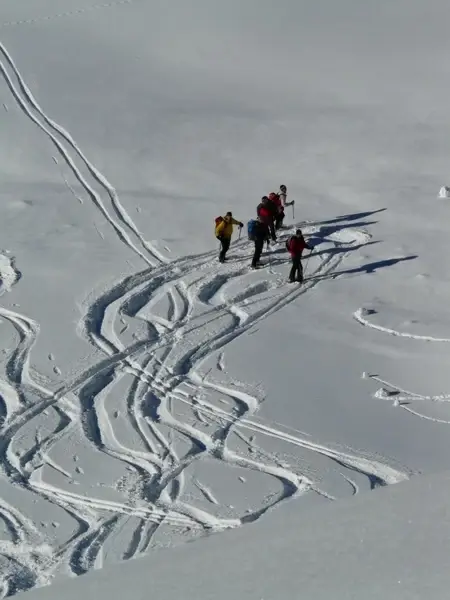 skiing departure wag