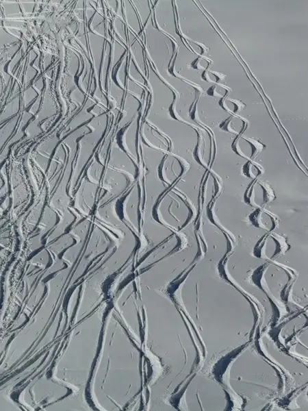 skiing departure wag