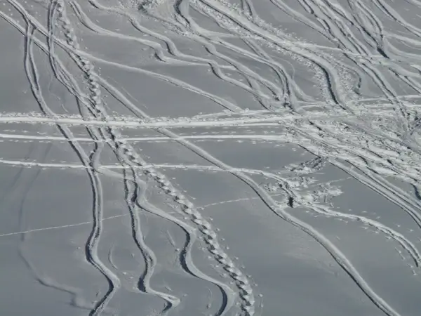 skiing departure wag