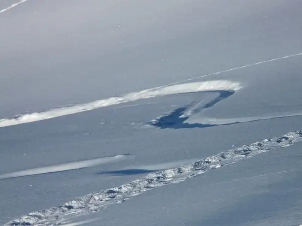 skiing departure wag