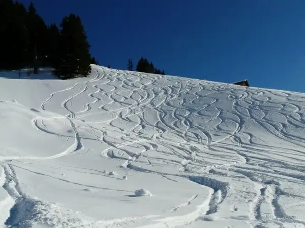skiing departure wag