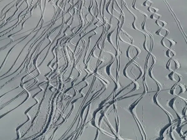 skiing departure wag