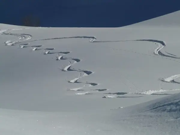 skiing departure wag
