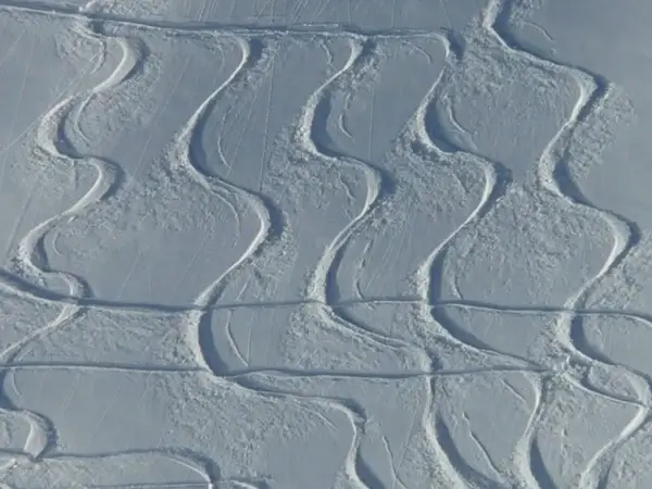 skiing departure wag