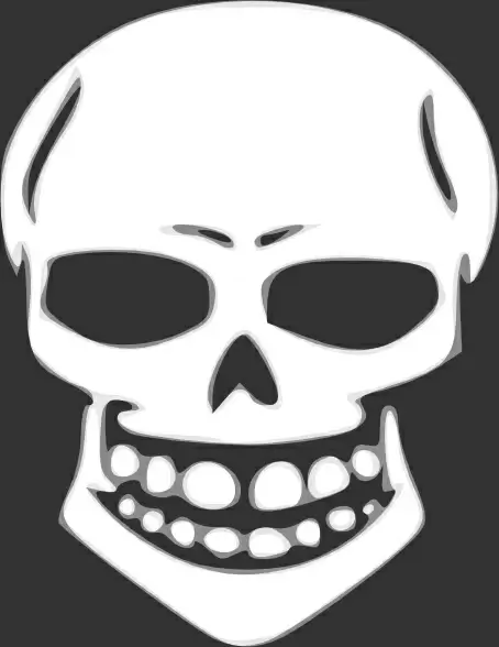 Skull Human X Ray clip art