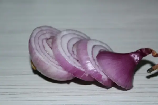 sliced onions