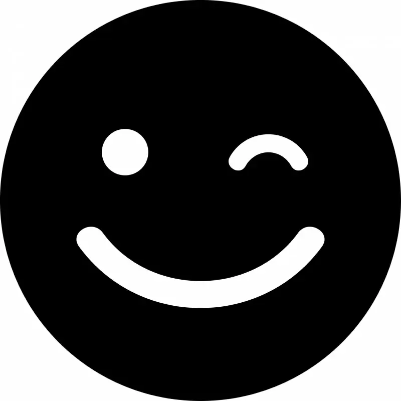 smile wink emoticon flat black white contrast circle face sketch
