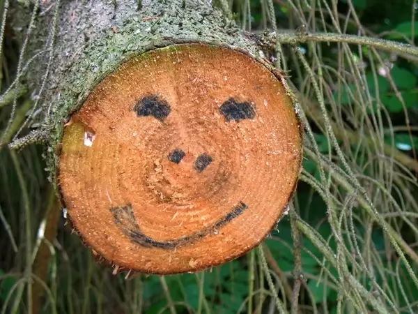 smiling face