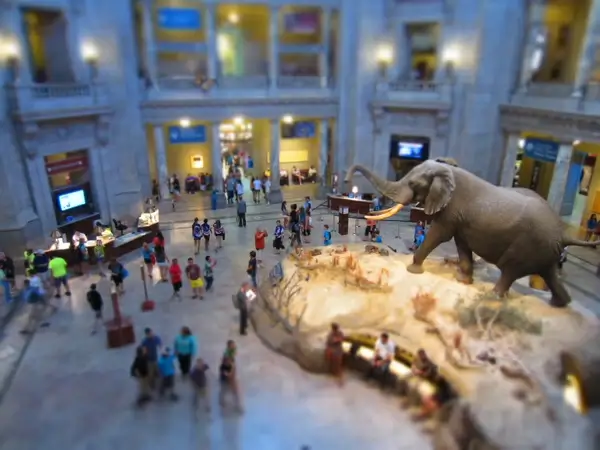 smithsonian museum
