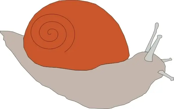 Snail clip art