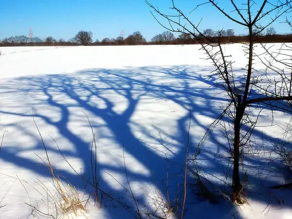 snow