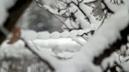 Snow