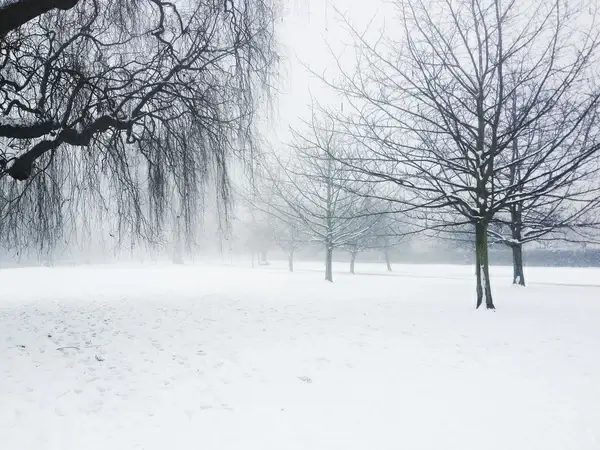 snow day 2