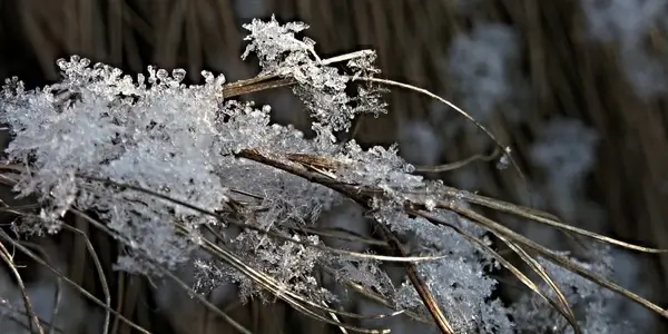 snow flakes led