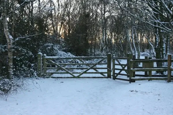 snow gate