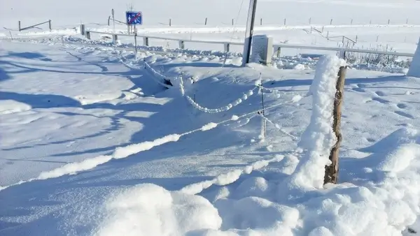 snow winter blast landscape