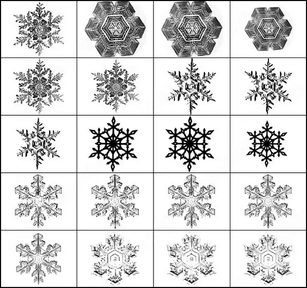 snowflakes. set contains 22 brush