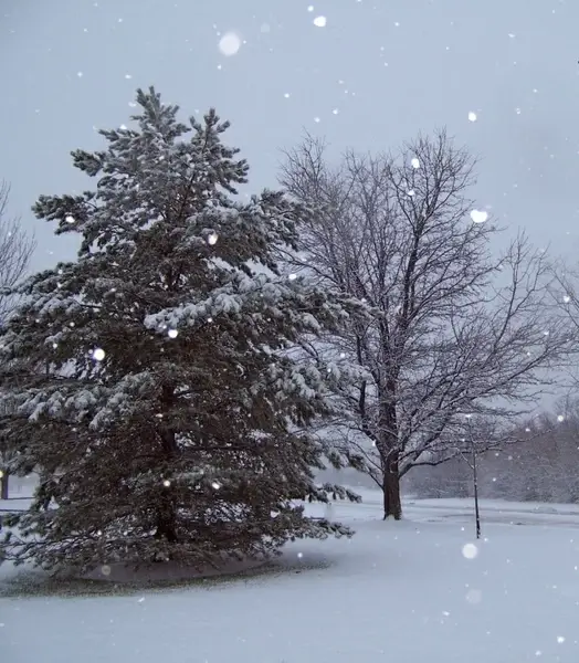 snowing