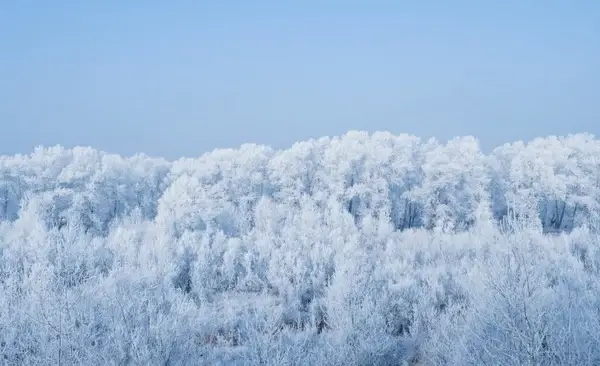 snowy landscape