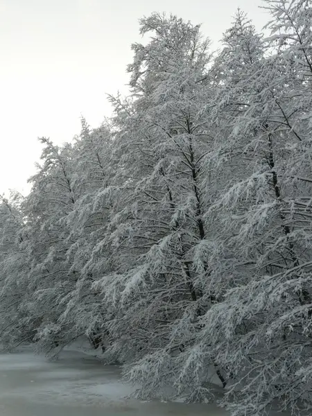 snowy winter wintry