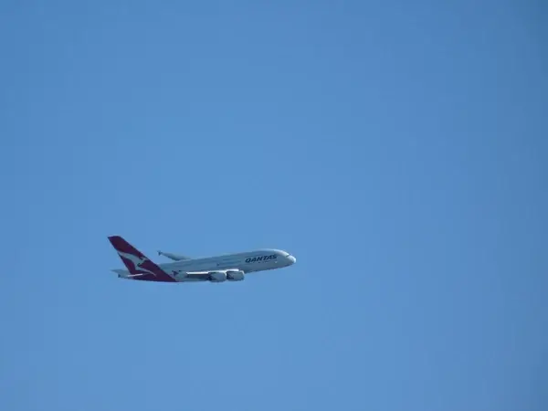 soaring