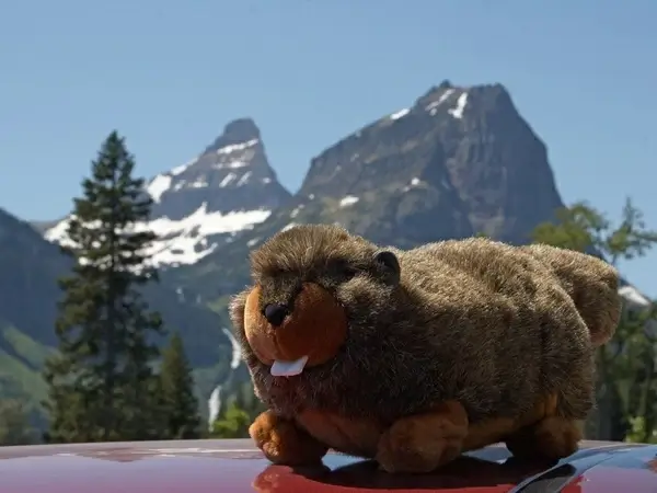 soft toy marmot mountains