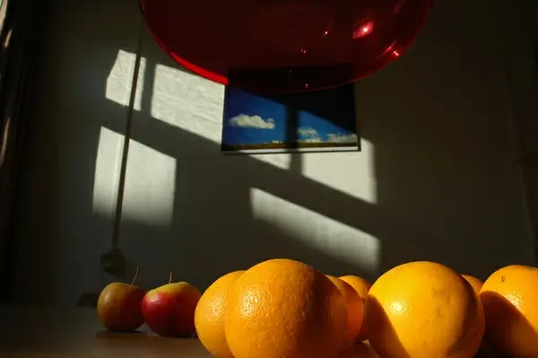 some kind of sunday cleaning still life