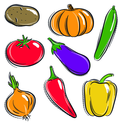 Vegetable drawing | Vegetable drawing, Drawings, Easy drawings